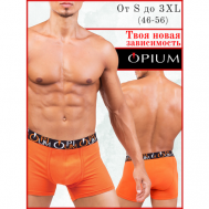 Трусы , размер XXL, оранжевый, бесцветный Opium