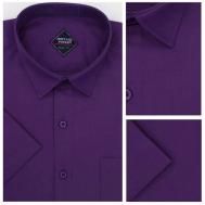 Рубашка , размер M, фиолетовый Moutain Power