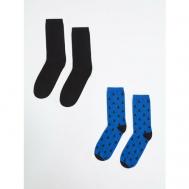Мужские носки , 2 пары, размер 25-27/182, мультиколор ZARINA