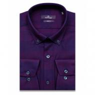 Рубашка , размер XL (43-44 cm.), фиолетовый Poggino