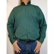 Рубашка , размер 4XL, зеленый BARCOTTI