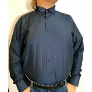 Рубашка , размер 3XL, синий CASTELLI