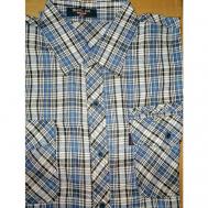 Рубашка , размер 4XL-54, белый, голубой МИЛЕНА