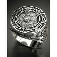 Кольцо, размер 19, серебряный DRAKON IRG