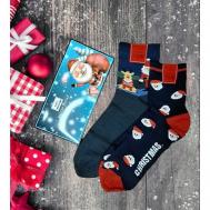 Мужские носки , 2 пары, классические, фантазийные, воздухопроницаемые, подарочная упаковка, на Новый год, размер 41-47, черный, синий Мастер Хлопка