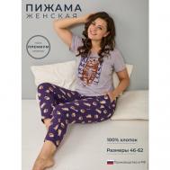 Пижама , размер 58, фиолетовый, бежевый Алтекс