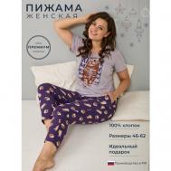 Пижама , размер 62, бежевый, фиолетовый Алтекс