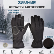 Перчатки  Перчатки осенние зимние утепленные флисовые спорт, размер M, черный Golden Dragon