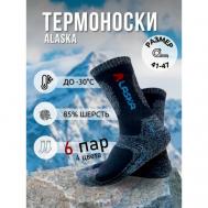 Термоноски  Мужские термоноски  Alaska, 6 пар, 41-47 размер., 6 пар, размер 41/47, серый, синий, черный Turkan