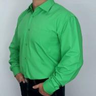 Рубашка , размер 44, зеленый DMG