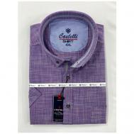 Рубашка , размер 3XL(64), фиолетовый CASTELLI