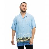 Рубашка , размер 50-52/L/43 ворот, голубой Маэстро