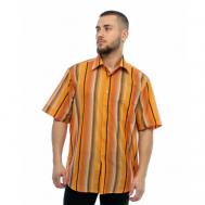 Рубашка , размер 50-52/L/43 ворот, оранжевый Маэстро