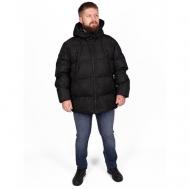 Куртка , демисезон/зима, капюшон, размер 52, черный Trussardi