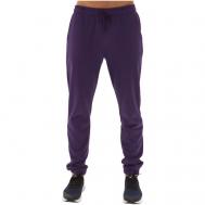 Брюки джоггеры , спортивные, полуприлегающий силуэт, размер XL, фиолетовый Bilcee