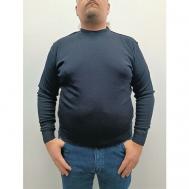 Пуловер , шерсть, размер 64, голубой Pine Peto