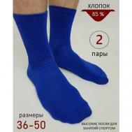 Носки  унисекс , 2 пары, размер 46-47, синий Biz-one