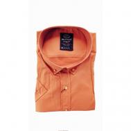 Рубашка , размер 5XL(64), оранжевый Bettino