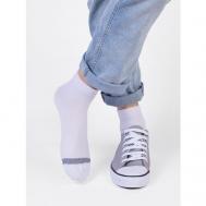 Мужские носки , 1 пара, классические, размер 29, белый Красная Ветка
