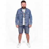 Куртка , демисезон/лето, размер M, синий Diesel