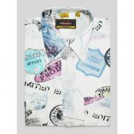 Рубашка , размер 42/XS/164-170/38 ворот, белый Маэстро