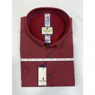 Рубашка , размер 7XL(72), красный CASTELLI