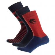 Мужские носки , 2 пары, классические, размер 25, синий, красный Pantelemone