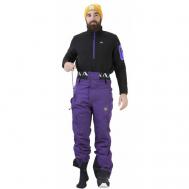 Горнолыжные брюки , карманы, мембрана, регулировка объема талии, утепленные, водонепроницаемые, размер L, фиолетовый Picture Organic