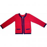 Пиджак , карманы, размер 116-60, синий, красный Нет бренда