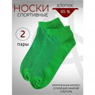 Носки  унисекс , 2 пары, размер 44-45, зеленый Biz-one