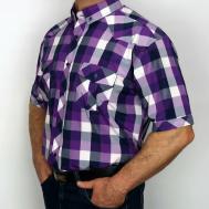 Рубашка , размер M, фиолетовый Carat