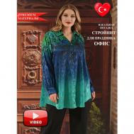 Блуза  , размер 56/58, голубой, зеленый Darkwin