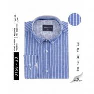 Рубашка , размер 3XL, голубой BARCOTTI