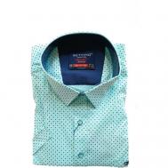 Рубашка , размер 4XL(62), голубой Bettino