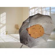 Зонт автомат, 2 сложения, купол 102 см., 9 спиц, система «антиветер», чехол в комплекте, для женщин, мультиколор Royal Umbrella