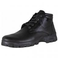 Ботинки , зимние, натуральная кожа, размер 41, черный SHOIBERG