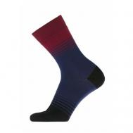 Мужские носки , 1 пара, классические, быстросохнущие, износостойкие, нескользящие, воздухопроницаемые, размер 27(41-43), синий Pantelemone