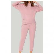 Костюм , худи, свитшот и брюки, повседневный стиль, свободный силуэт, капюшон, карманы, эластичный пояс/вставка, утепленный, размер 46, розовый Нет бренда