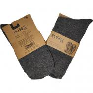 Мужские носки , 2 пары, высокие, размер 41-47, серый ELISE'S Secret