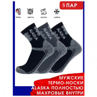 Мужские носки , 5 пар, классические, на 23 февраля, махровые, размер 41-47, черный ALASKA