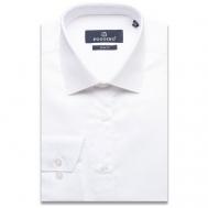 Рубашка , деловой стиль, прилегающий силуэт, классический воротник, длинный рукав, однотонная, размер (56)3XL, белый Poggino