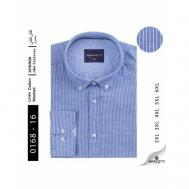 Рубашка , размер 6XL, голубой BARCOTTI