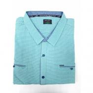 Рубашка , размер 7XL(66), зеленый Нет бренда