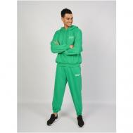 Комплект , брюки, капюшон, размер 44-46, зеленый VIENETTA