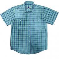 Рубашка , размер 48, зеленый, голубой West Rider