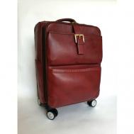 Умный чемодан , натуральная кожа, жесткое дно, 40 л, красный Black Buffalo Bags