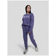 Костюм , джемпер и брюки, спортивный стиль, свободный силуэт, утепленный, размер 42-44, фиолетовый Vitacci