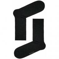 Мужские носки , 2 пары, размер 25(40-41), черный DiWaRi