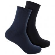 Мужские носки , 3 пары, классические, утепленные, размер 41-47, синий, черный Весёлый носочник
