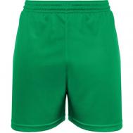 Шорты , размер XL, зеленый Ро-спорт